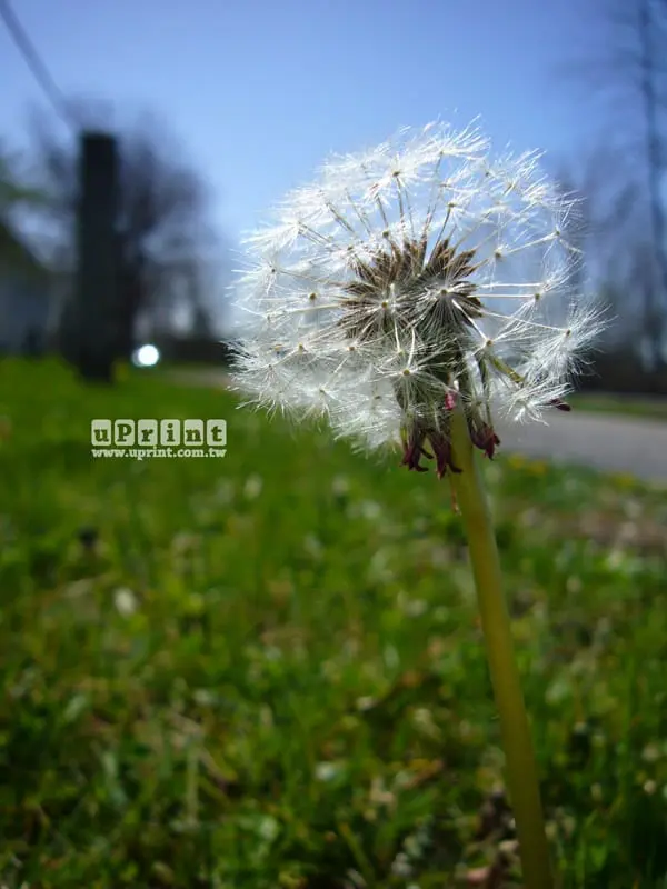 uPrint藝術微噴檔案製作說明-照片原始檔案為sRGB色域空間 指定為AdobeRGB