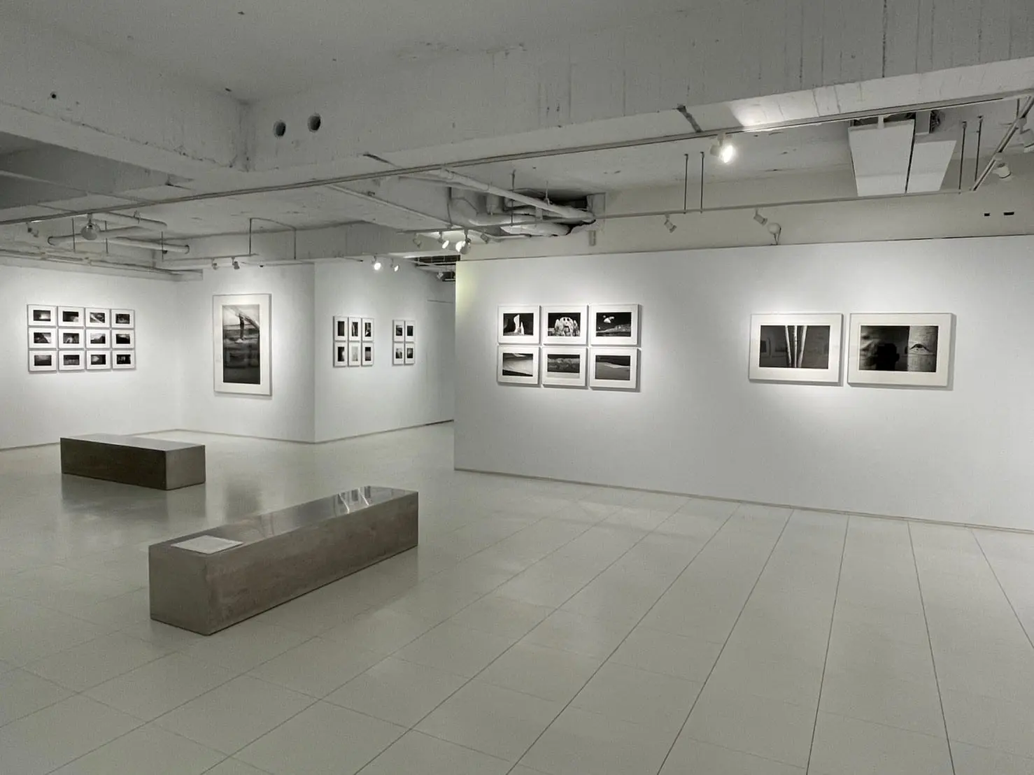敏雄攝影展 x 大象 x uPrint