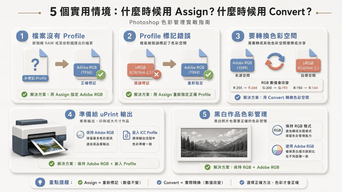 Photoshop 色彩管理實戰情境：什麼時候用 Assign，什麼時候用 Convert